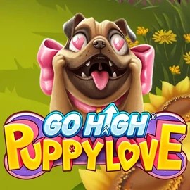game logo by RubyPlay on bet-onred.eu